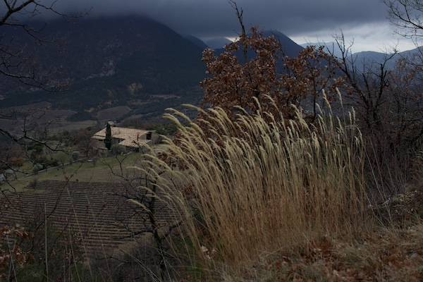 vers Ferrassières à la pointe méridionale de la Drôme provençale sur le plateau d'Albion